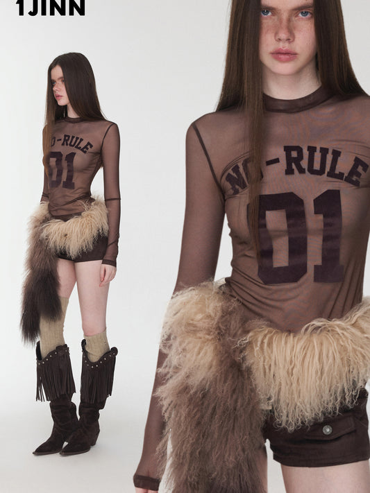 Printed Mesh Turtleneck Top