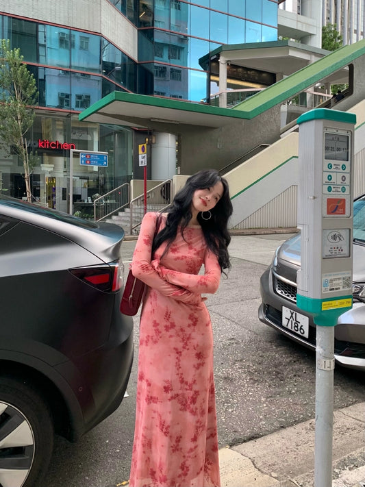 Mesh Print Dress Set