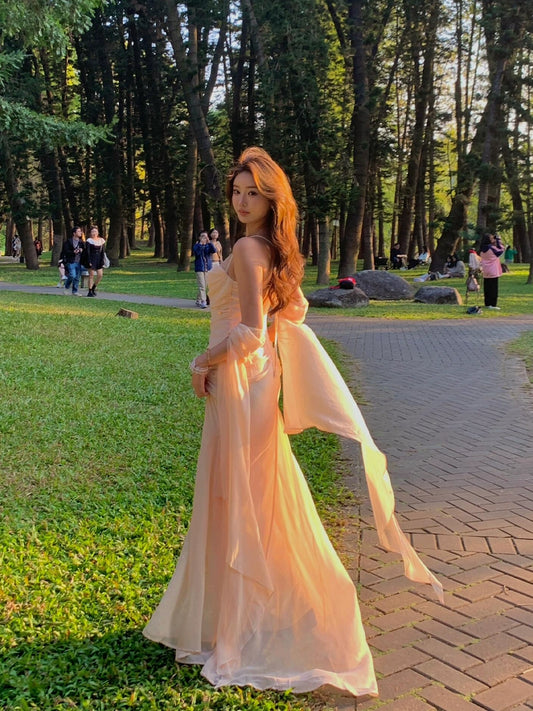 Christmas Celebrity Dress – Elegant Luxury Birthday Gown