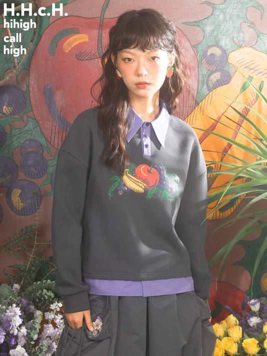 ফলের মুদ্রণ বিপরীতে লম্বা হাতা পোলো সোয়েটার