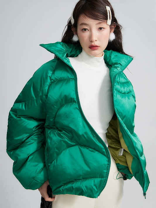 تفكيك بطة بطة بيضاء أسفل معطف