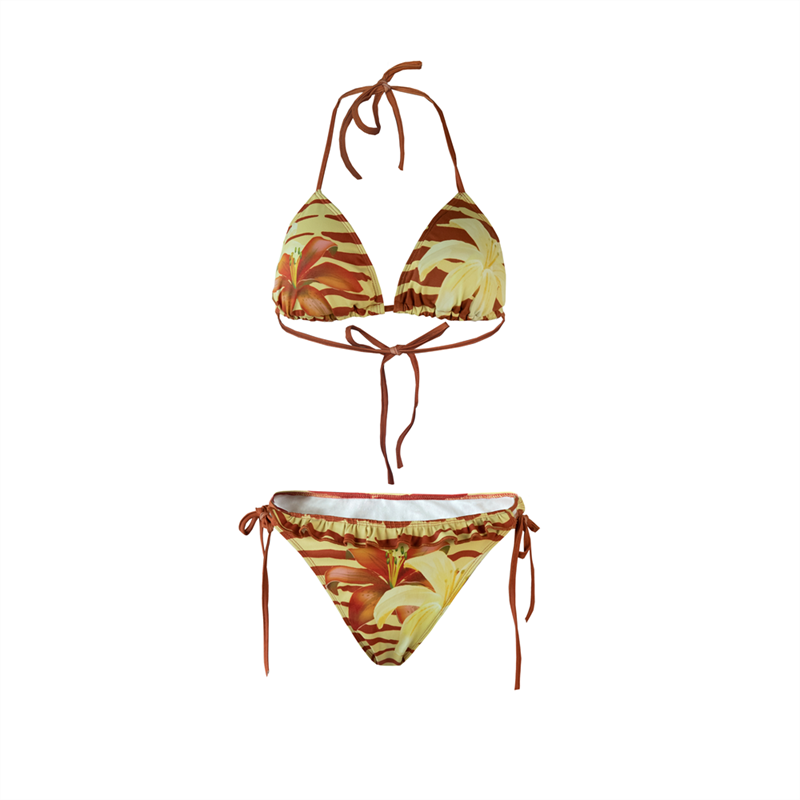 Leopard Print Bikini Set | Pure Desire Y2K Niche Retro Design