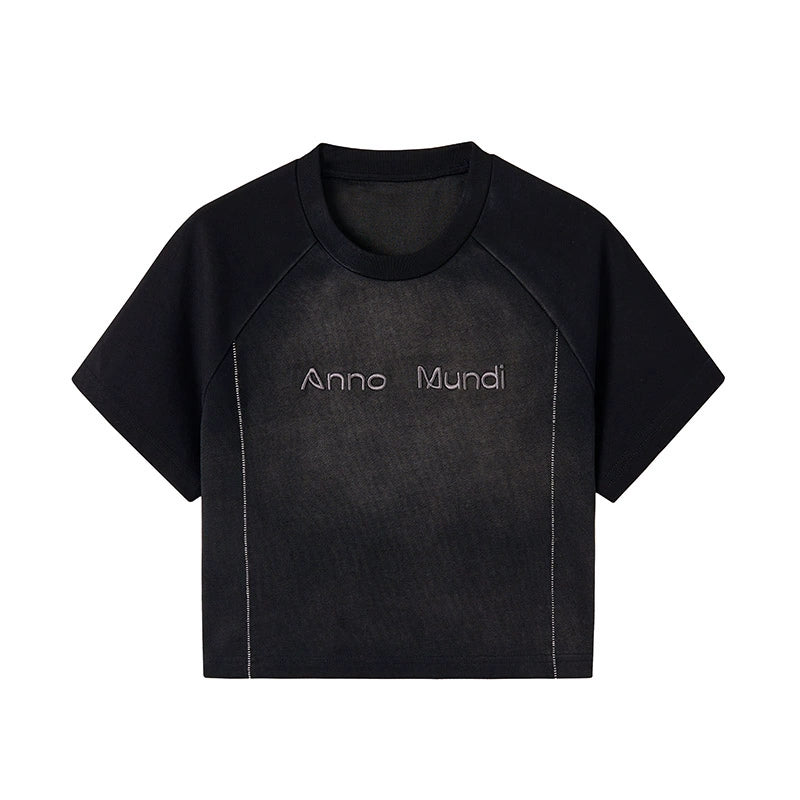 Summer Raglan Sleeve Gradient Contrast Tee