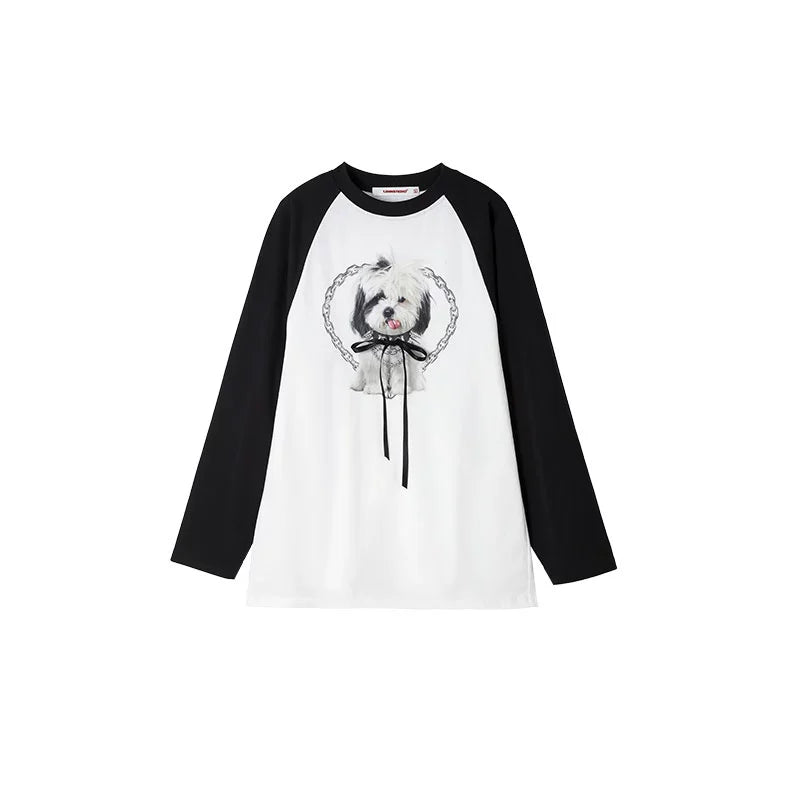 Striped Raglan Long Sleeve T-Shirt – Contrast Design in Loose Fit Style