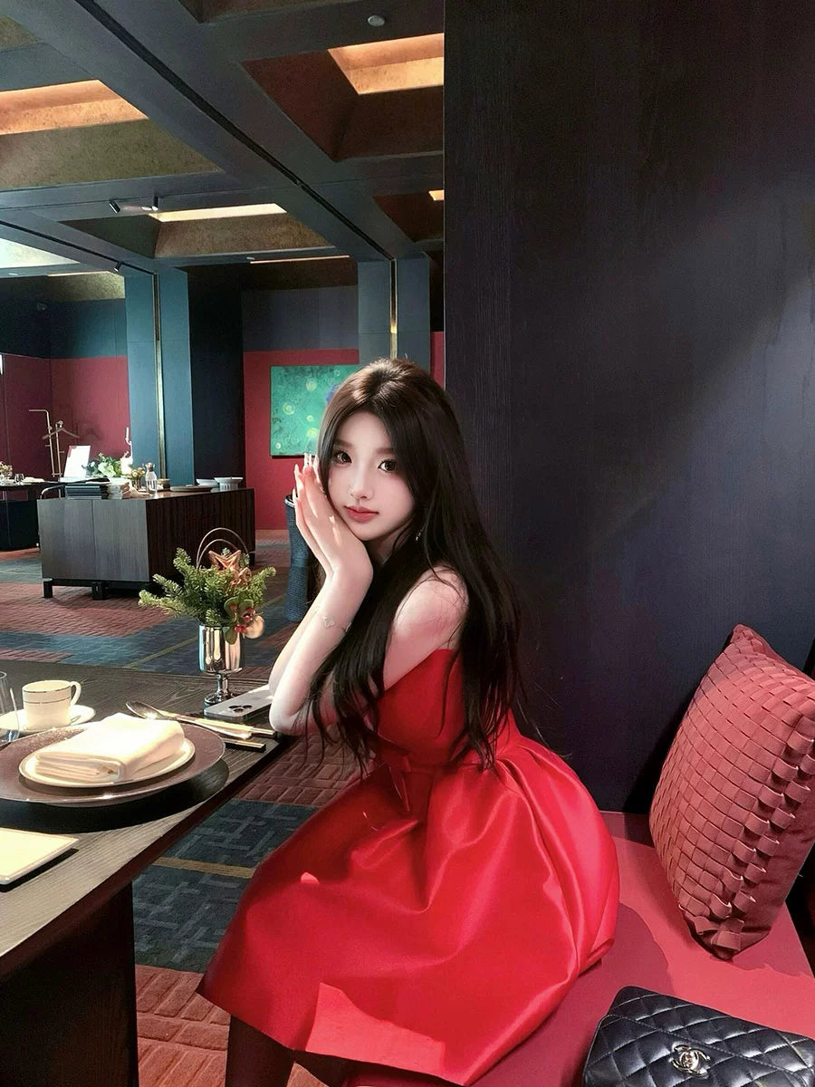 Red Princess Tutu Dress – New Year’s High-End Birthday Skirt