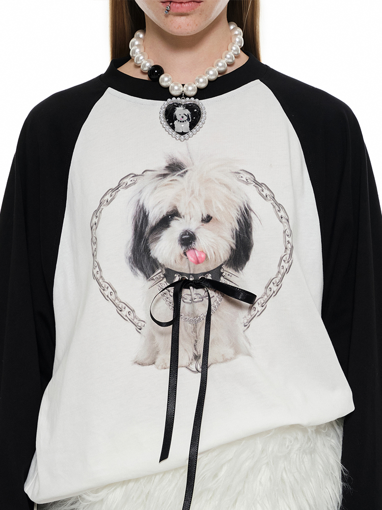 Striped Raglan Long Sleeve T-Shirt – Contrast Design in Loose Fit Style