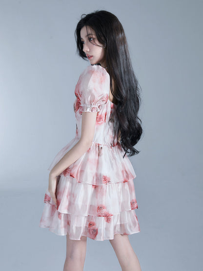 Vitality Peach Blossom Waist Princess Dress