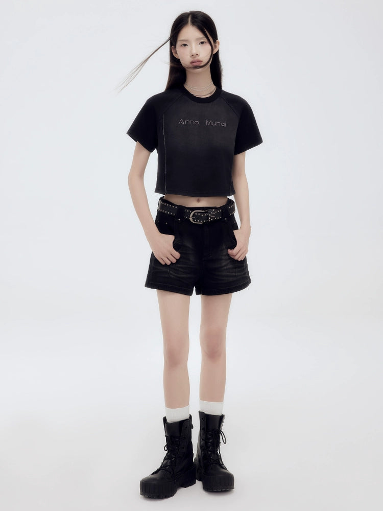 Summer Raglan Sleeve Gradient Contrast Tee