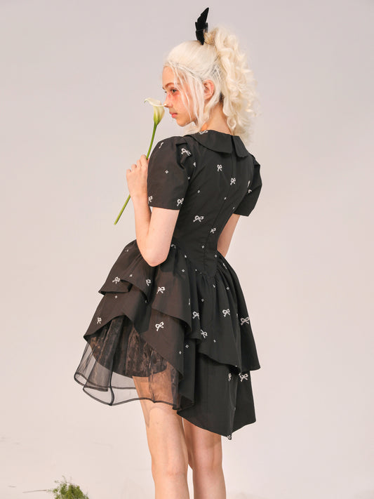 Universe Iris Embroidered Dress