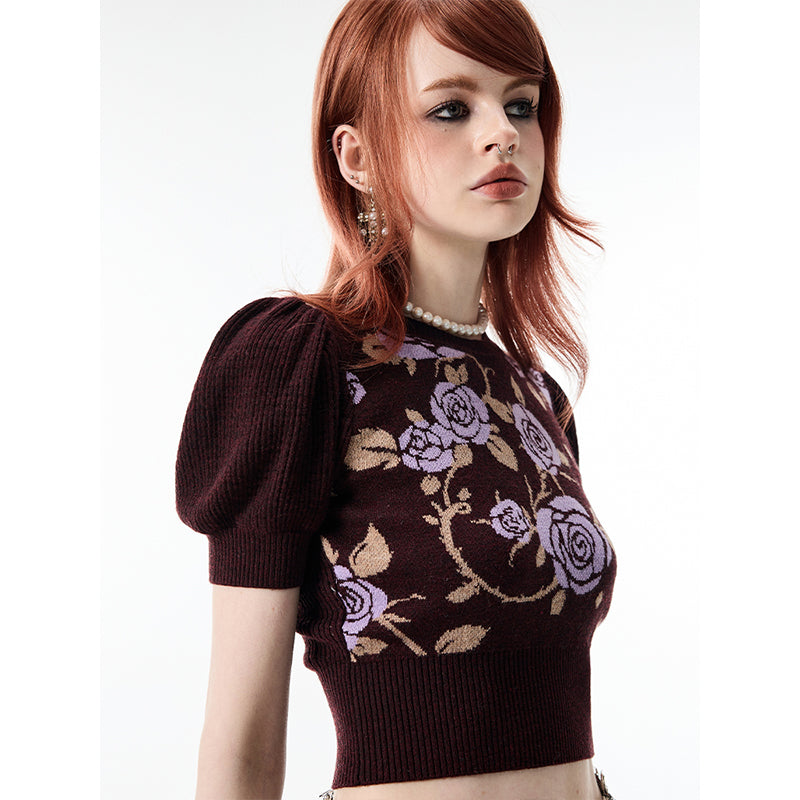 Muse Rose Hollow Knit Crop