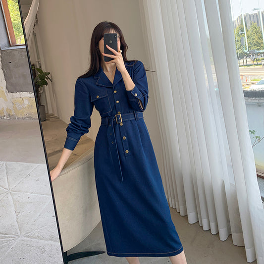 Waist Slim French Dress