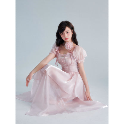 Swan Dream Pink Dress