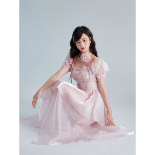 Swan Dream Pink Dress
